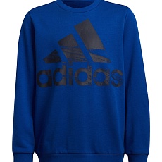 ТОЛСТОВКА ADIDAS LOGO SWEAT HD JR HF1824