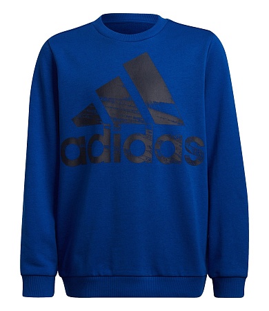 ТОЛСТОВКА ADIDAS LOGO SWEAT HD JR HF1824